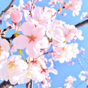 2026年3月開校生徒募集!!